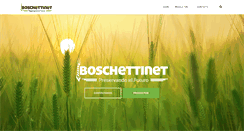 Desktop Screenshot of bosnetsa.com